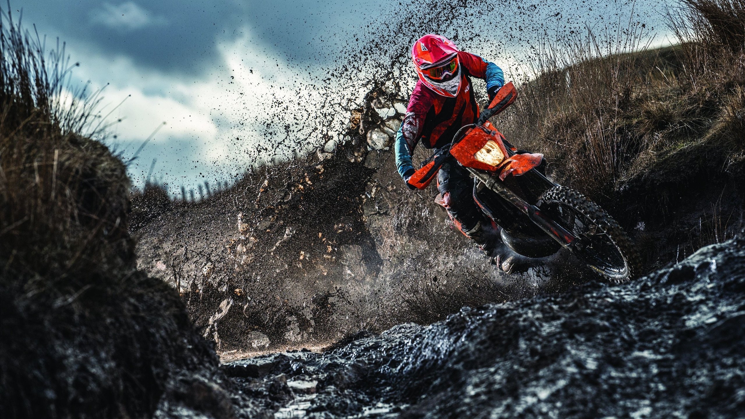 逆转戏码:悬念持续升级,逆转游戏简介